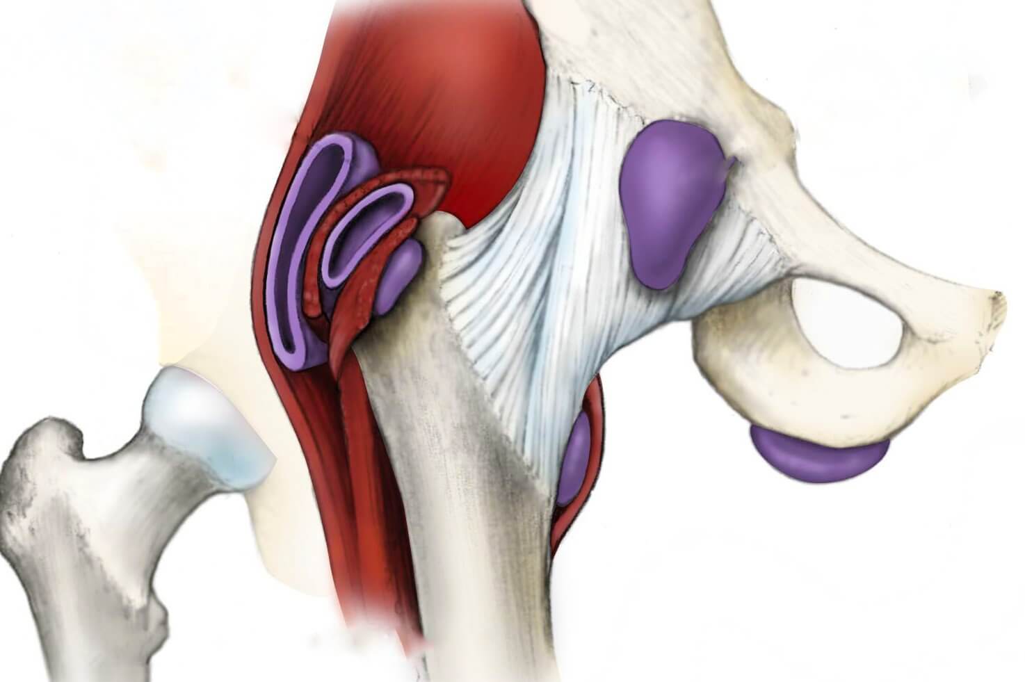 Knee Sport Injuries